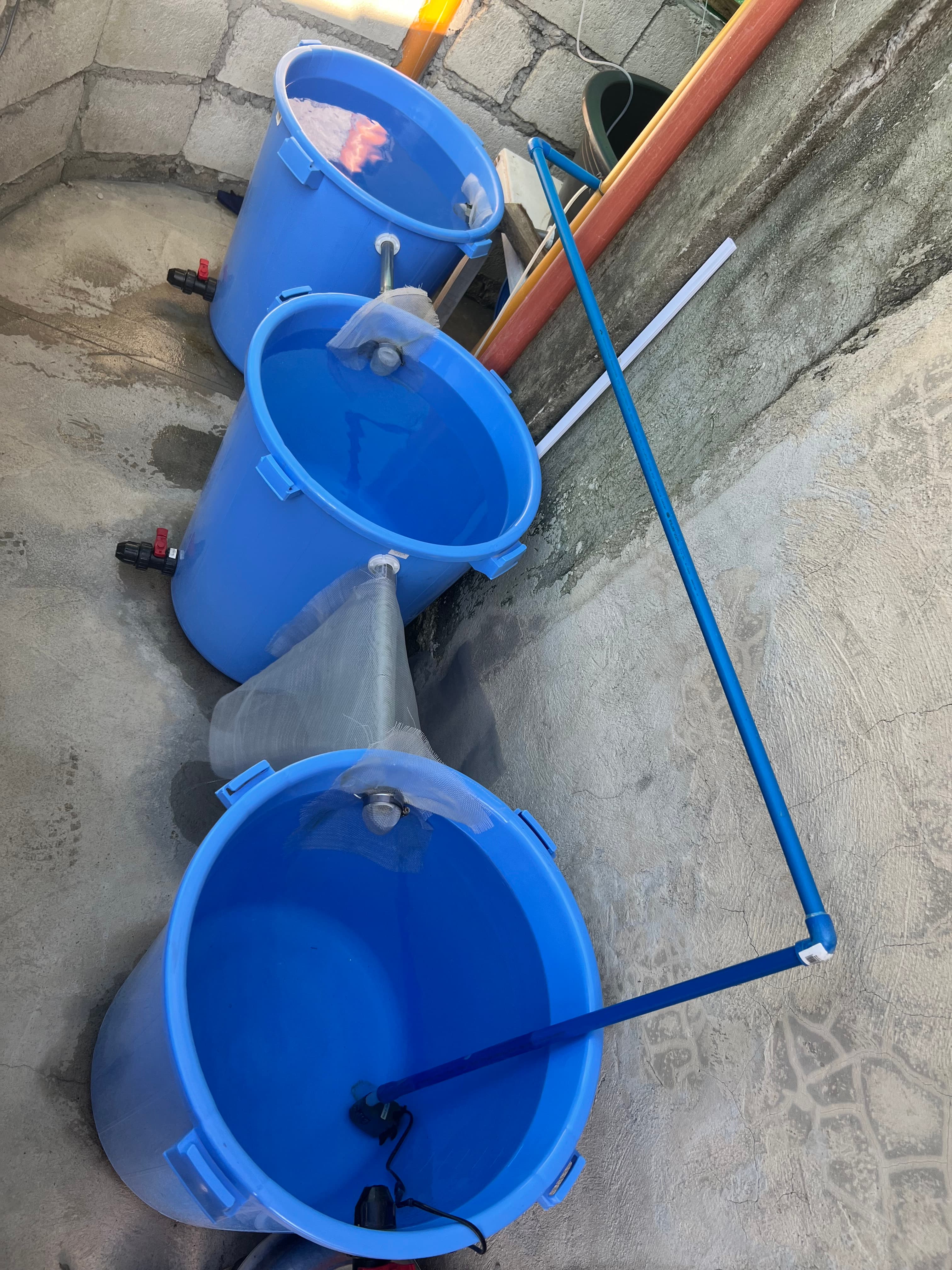 Multi-stage water filtration system